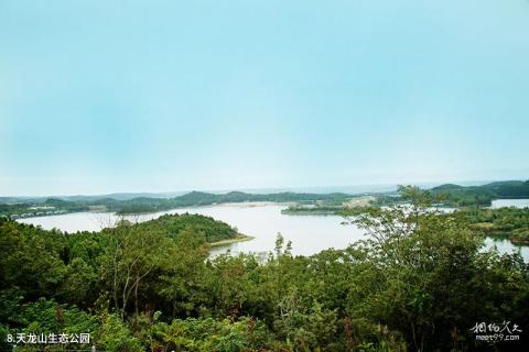 绵阳仙海旅游景区旅游攻略 之 天龙山生态公园