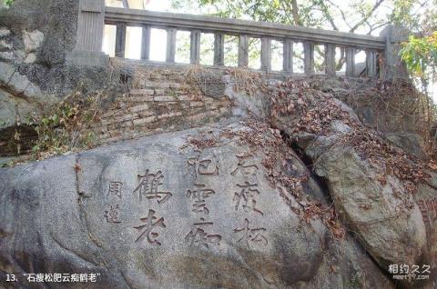 厦门中山公园旅游攻略 之 “石瘦松肥云痴鹤老”