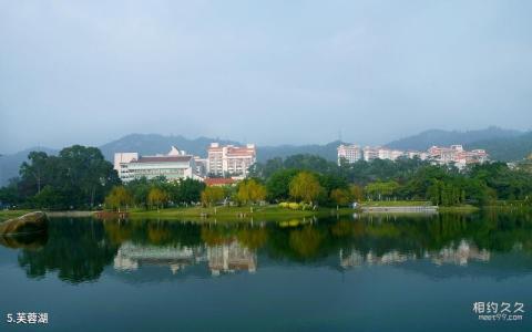 厦门大学校园风光 之 芙蓉湖