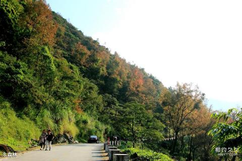 博山五阳湖生态旅游度假区旅游攻略