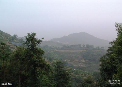 杭州西湖风景名胜区旅游攻略 之 翁家山