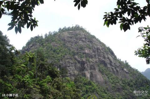 资溪大觉山旅游攻略 之 小狮子岩