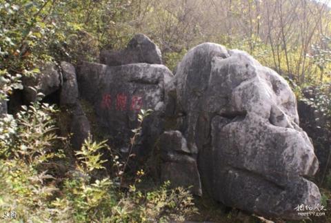 元古奇石林风景区旅游攻略 之 狗