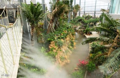 莱芜雪野风景名胜区旅游攻略 之 植物