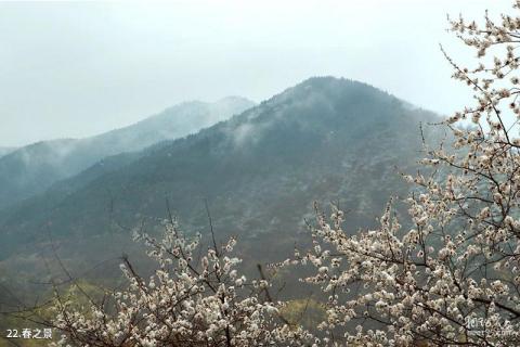 三门峡甘山国家森林公园旅游攻略 之 春之景