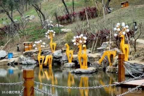 广西金城江公园旅游攻略 之 小鹿灯喷泉