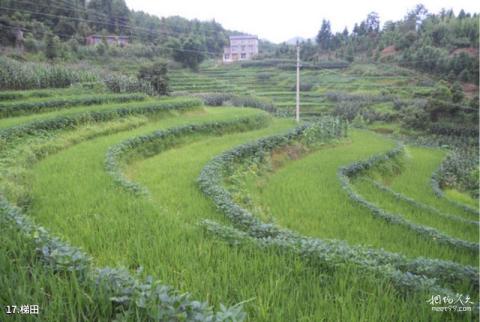 利川鱼木寨旅游攻略 之 梯田