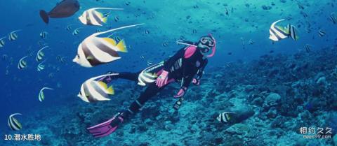 三亚西岛旅游度假区旅游攻略 之 潜水胜地
