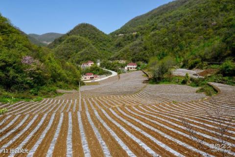 襄阳尧治河旅游区旅游攻略 之 田园风光