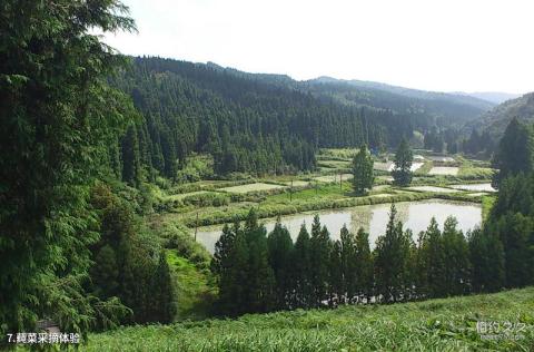 利川佛宝山大峡谷漂流景区旅游攻略 之 莼菜采摘体验