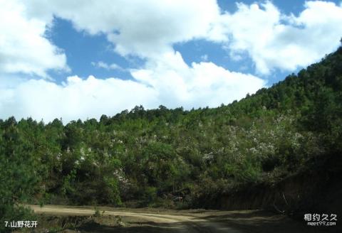 寨寮溪风景名胜区旅游攻略