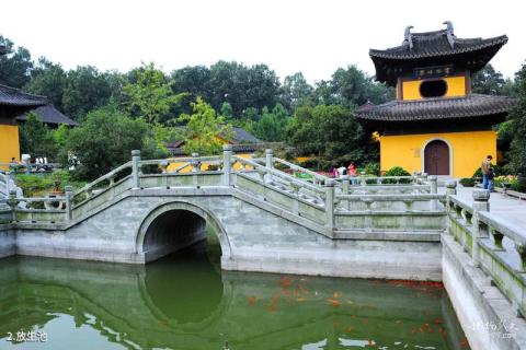 杭州慧因高丽寺旅游攻略 之 放生池