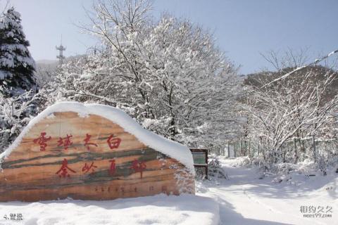 宝鸡太白青峰峡森林公园旅游攻略 之 雪景