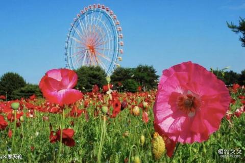 日本国营日立海滨公园旅游攻略 之 摩天轮