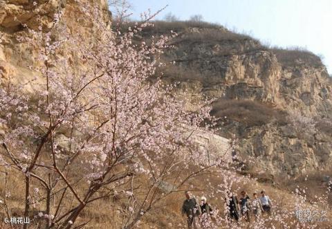 大同灵丘桃花山旅游攻略 之 桃花山