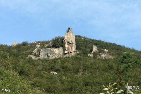 信阳连康山国家级自然保护区旅游攻略 之 奇石