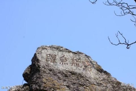 浙江超山风景区旅游攻略 之 鸟飞鱼跃