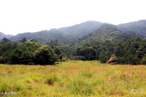 福建梅花山国家级自然保护区旅游攻略 之 高山草甸