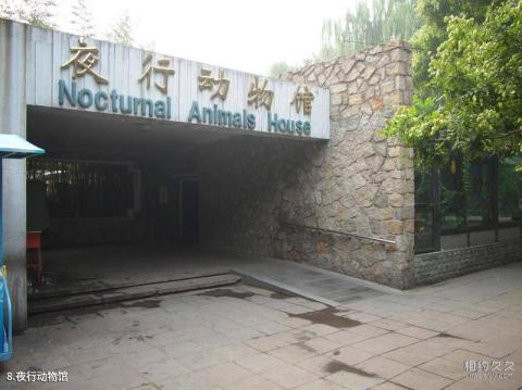 北京动物园旅游攻略 之 夜行动物馆