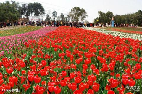 湖南省森林植物园旅游攻略 之 世界名花园