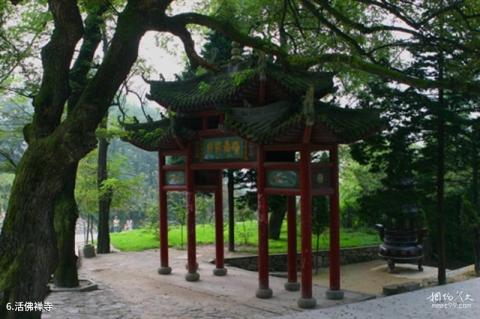 信阳鸡公山风景名胜区旅游攻略 之 活佛禅寺