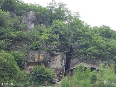 黄山太平湖风景区旅游攻略 之 燕崖石林