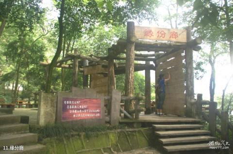 重庆歌乐山国家森林公园旅游攻略 之 缘分廊