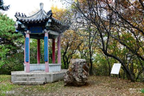 沈阳猪踪朝阳寺旅游攻略 之 猪踪亭