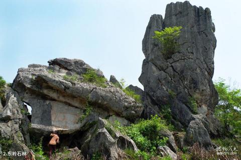 修水南崖清水岩风景区旅游攻略 之 东岭石林