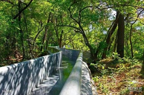 山东沂蒙山银座天蒙旅游区旅游攻略 之 滑道