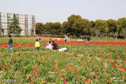 苏州中国花卉植物园旅游攻略 之 专类花卉园