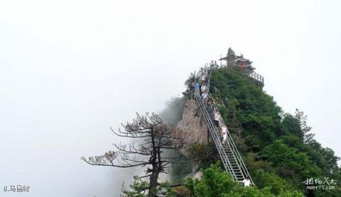 洛阳栾川老君山景区旅游攻略 之 马鬃岭