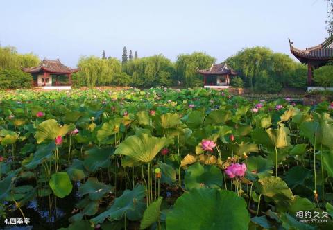 无锡蠡园公园旅游攻略 之 四季亭