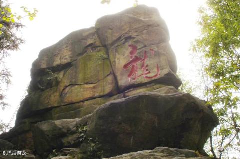 重庆巴岳山―西温泉风景区旅游攻略 之 巴岳游龙