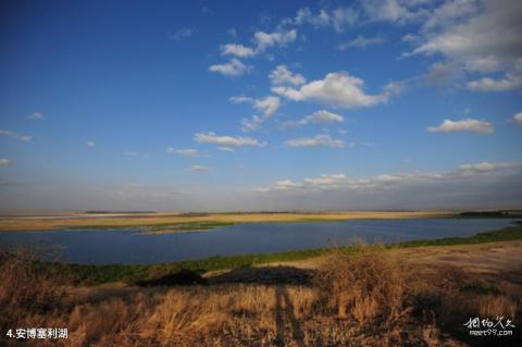 肯尼亚安博塞利国家公园旅游攻略 之 安博塞利湖