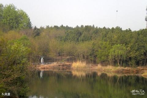 宿迁嶂山森林公园旅游攻略 之 风景