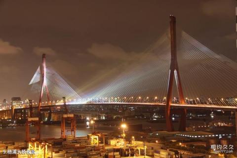 上海杨浦大桥旅游攻略 之 杨浦大桥夜景