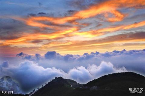 南山牧场大草原旅游攻略 之 大丫口