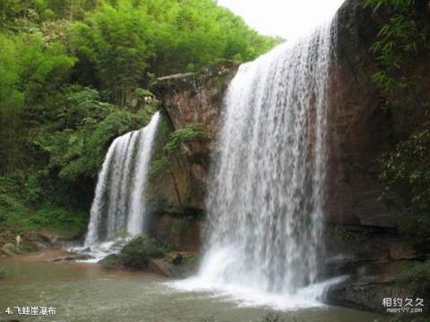 贵州赤水四洞沟景区旅游攻略 之 飞蛙崖瀑布