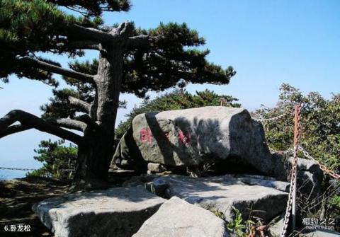 罗田薄刀峰风景区旅游攻略 之 卧龙松