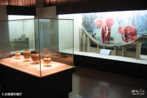 中国隋唐大运河博物馆旅游攻略 之 古相遗珍展厅