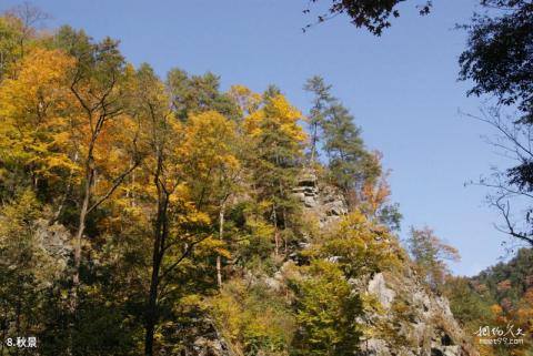 安康化龙山国家级自然保护区旅游攻略 之 秋景