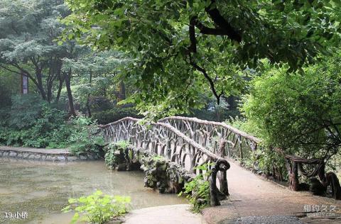 湖南烈士公园旅游攻略 之 小桥