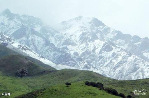 贵南直亥风景区旅游攻略 之 雪峰