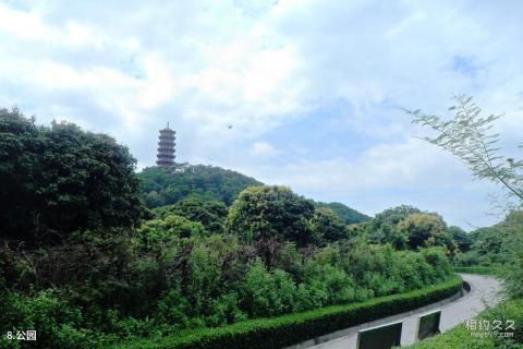 深圳红花山公园旅游攻略 之 公园