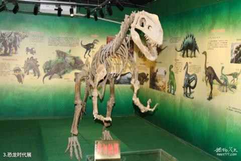 珠海市博物馆旅游攻略 之 恐龙时代展
