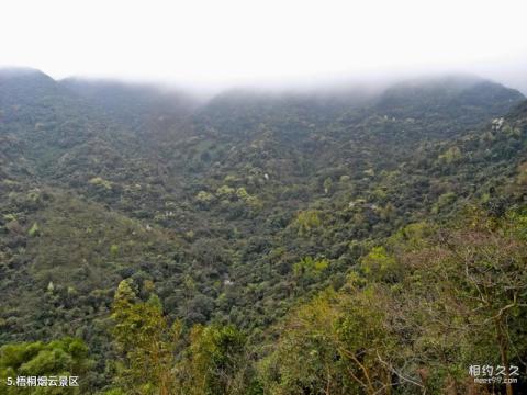 梧桐山风景区旅游攻略 之 梧桐烟云景区