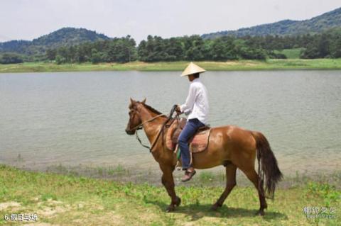 南京南山湖旅游度假区旅游攻略 之 假日马场