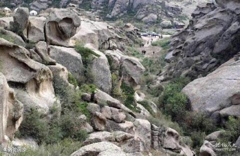 农五师怪石峪风景区旅游攻略 之 骆驼阔步