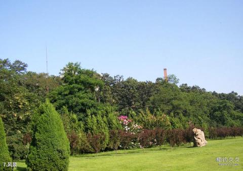 大连棒棰岛旅游攻略 之 风景